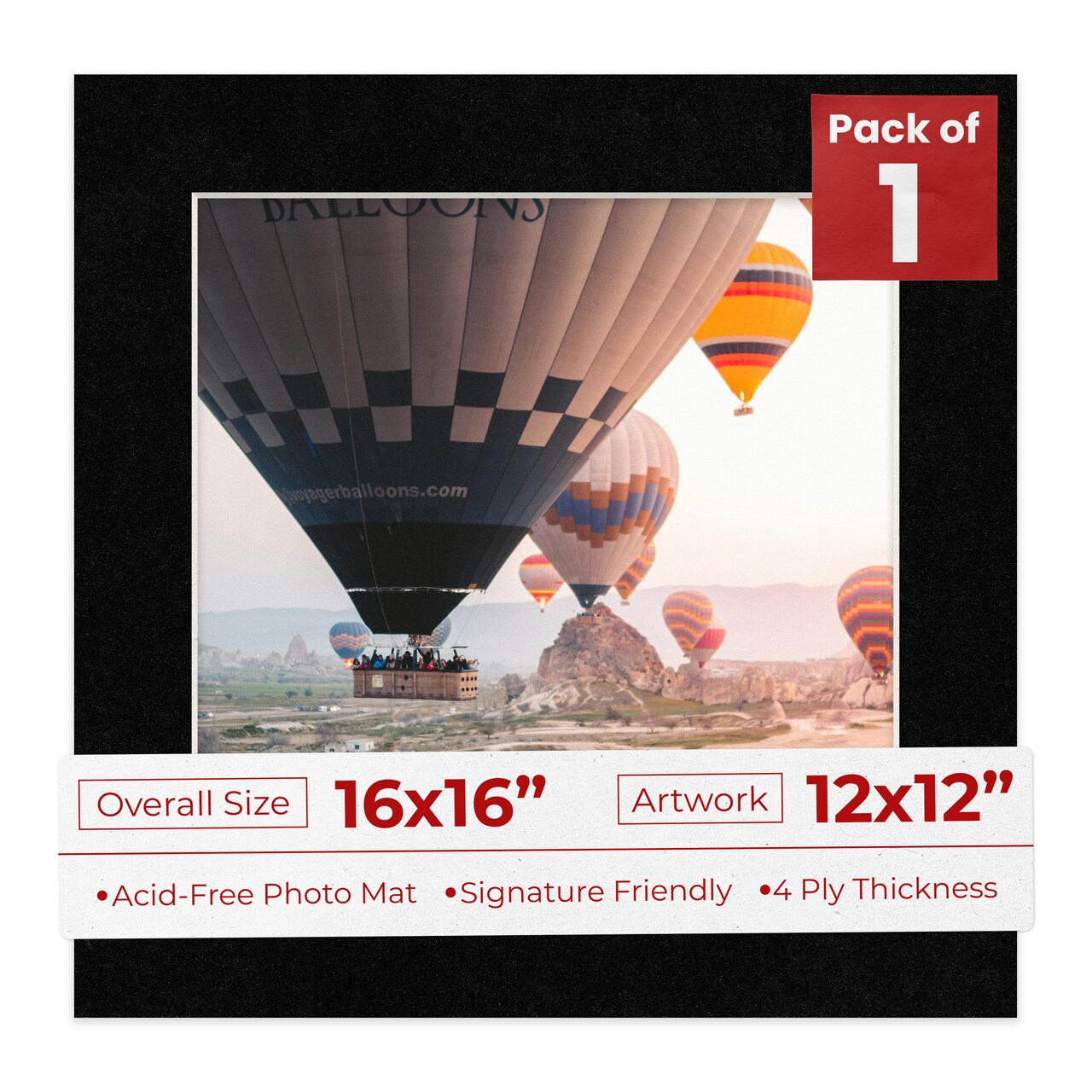 Black with Black Core Mat Board for 16x16 Frames - Fits 12x12 Photos